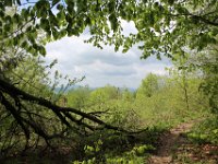 Wehikul 25 lat SKT (59)